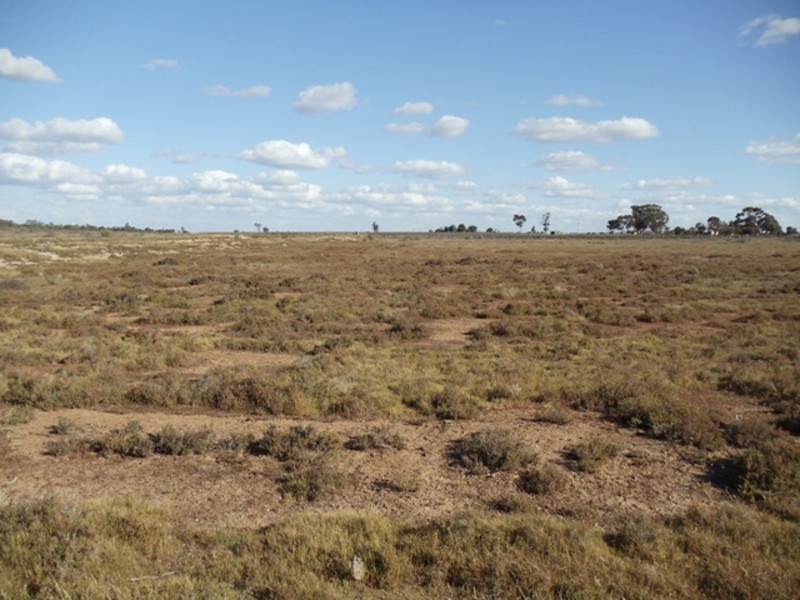 Lot 70,71 Bael Bael, Tresco VIC 3583
