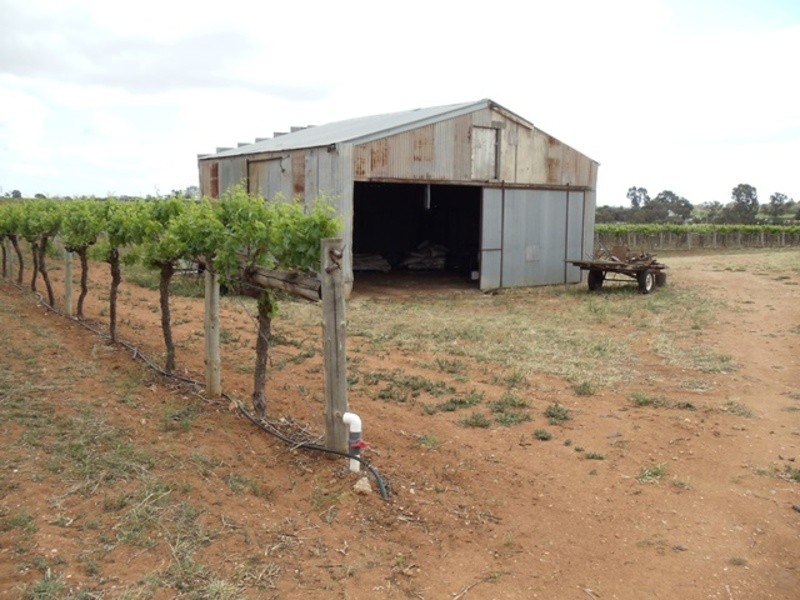 36 Vernon Lane, Vinifera VIC 3591