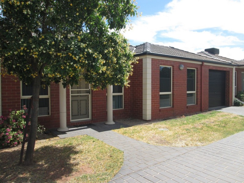 3/141 Stradbroke Avenue, Swan Hill VIC 3585