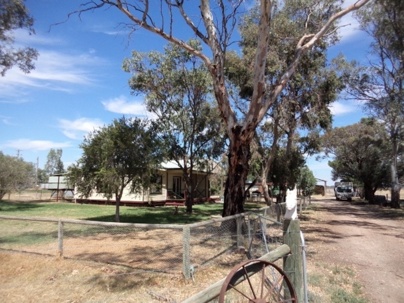 50 Cox Road, Koraleigh NSW 2735