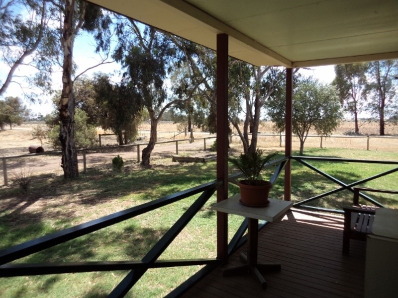 50 Cox Road, Koraleigh NSW 2735