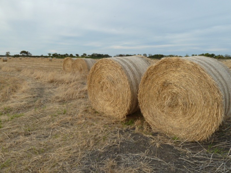 50 Cox Road, Koraleigh NSW 2735