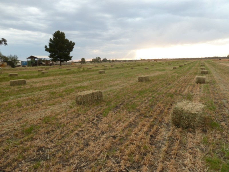 50 Cox Road, Koraleigh NSW 2735