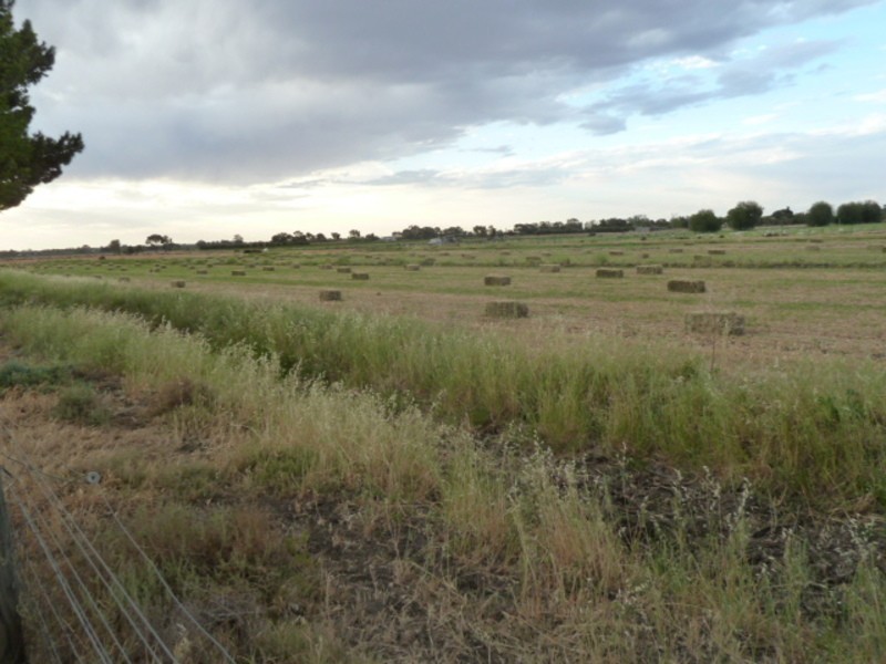 50 Cox Road, Koraleigh NSW 2735