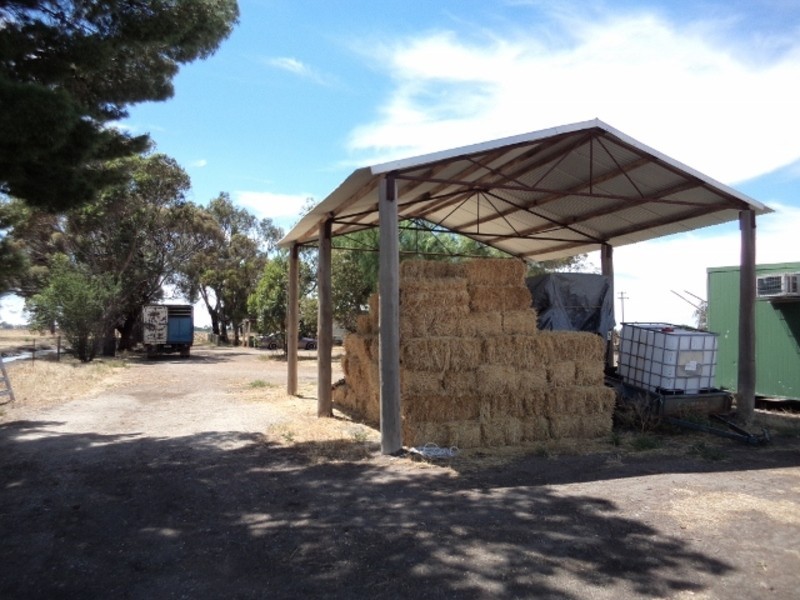 50 Cox Road, Koraleigh NSW 2735