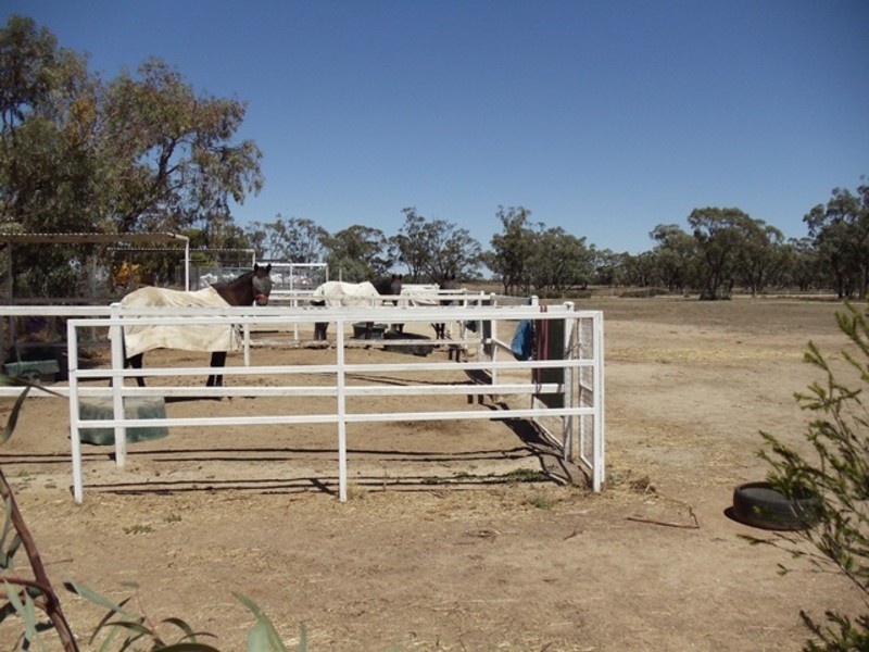 31 Main Street, Lalbert VIC 3542