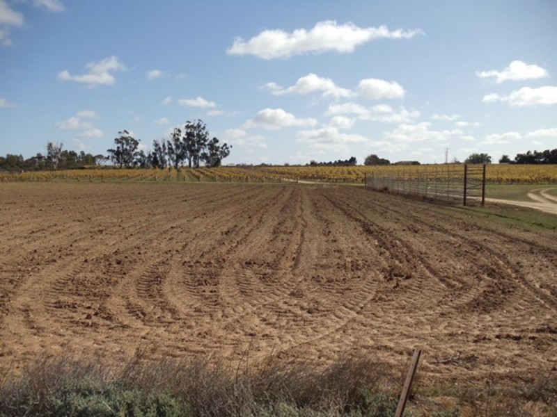 114 Shadbolt Lane, Vinifera VIC 3591