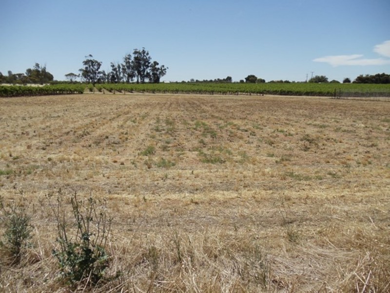 114 Shadbolt Lane, Vinifera VIC 3591