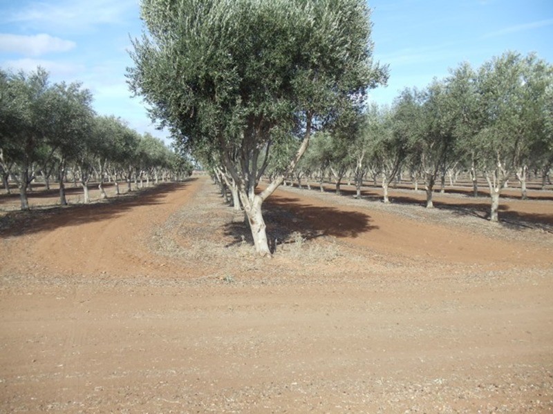 0 Grant Lane, Tresco VIC 3583