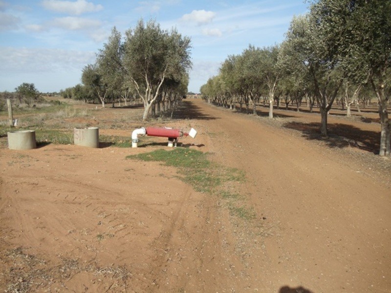 0 Grant Lane, Tresco VIC 3583