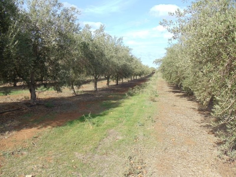 0 Grant Lane, Tresco VIC 3583