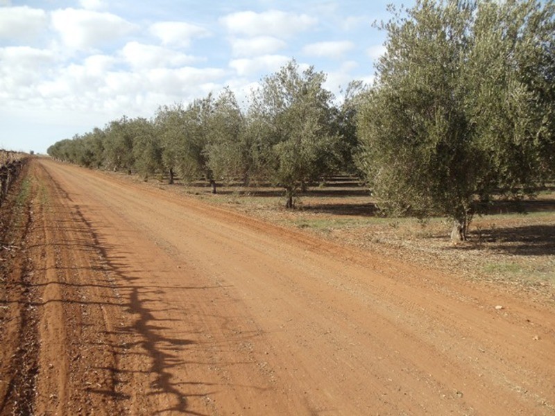 0 Grant Lane, Tresco VIC 3583