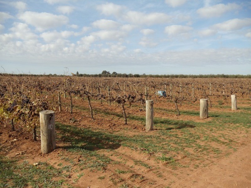 0 Grant Lane, Tresco VIC 3583