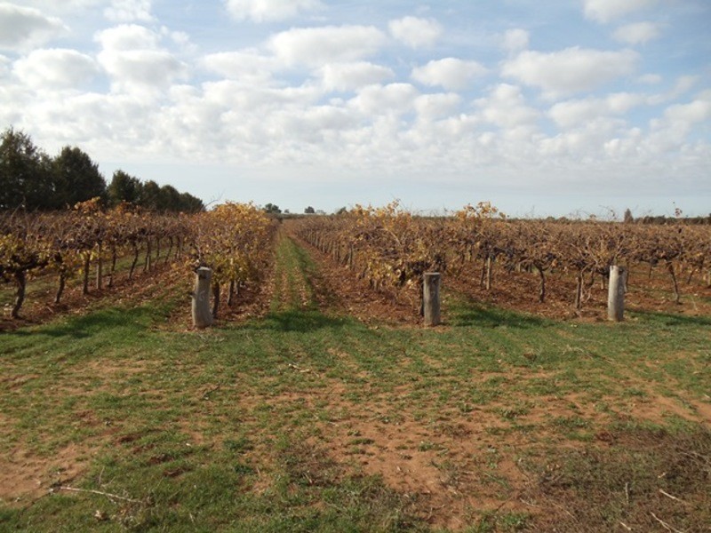 0 Grant Lane, Tresco VIC 3583