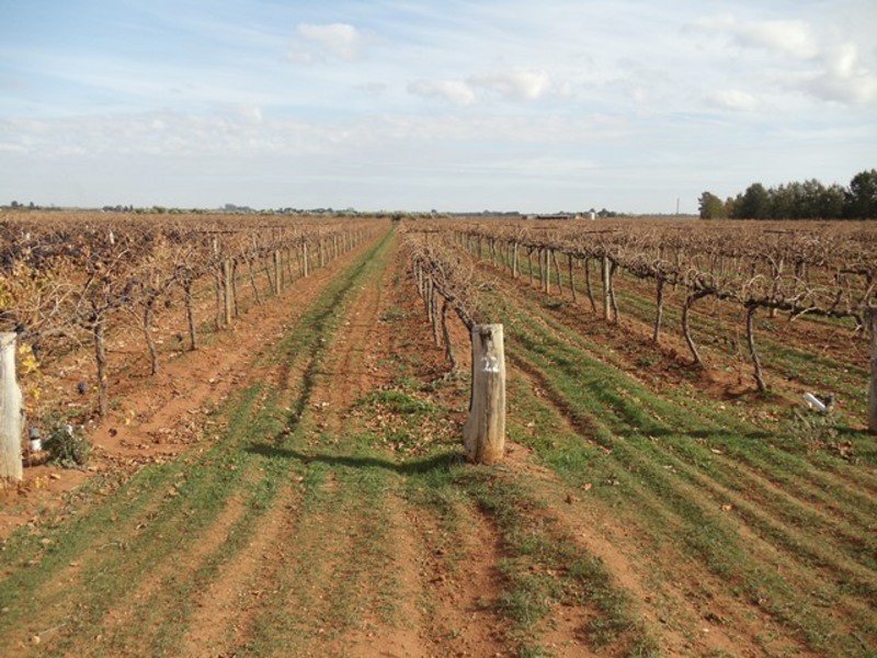 0 Grant Lane, Tresco VIC 3583