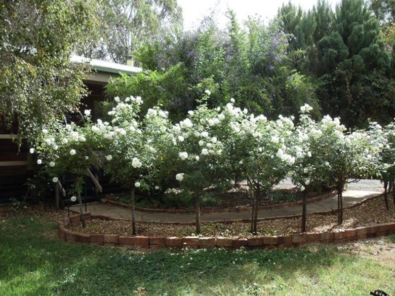 3 Etona Lane, Goodnight NSW 2736