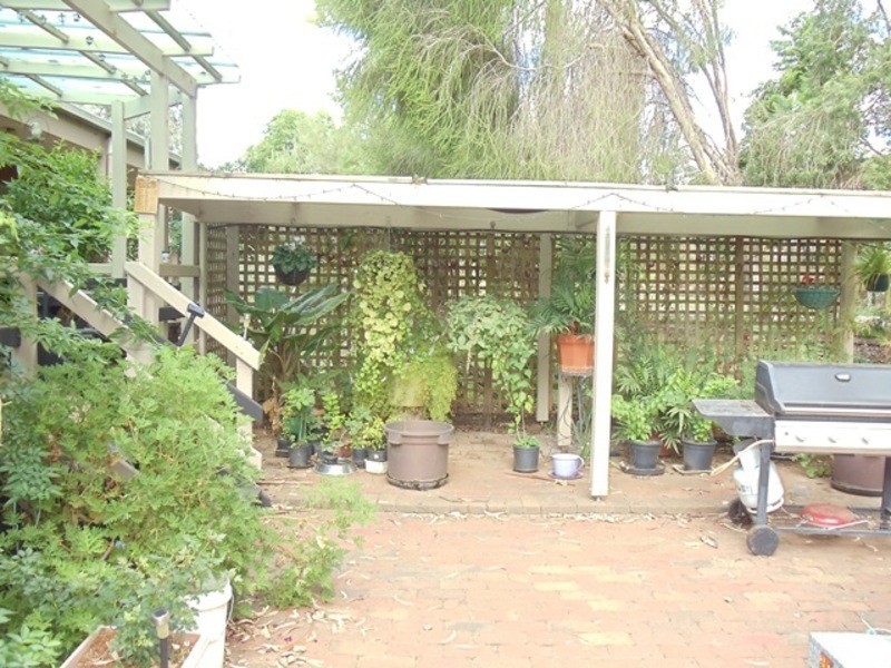 3 Etona Lane, Goodnight NSW 2736