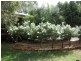 3 Etona Lane, Goodnight NSW 2736