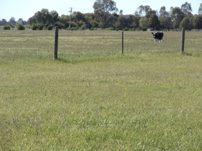 204 Creamery Road, Tyntynder VIC 3586