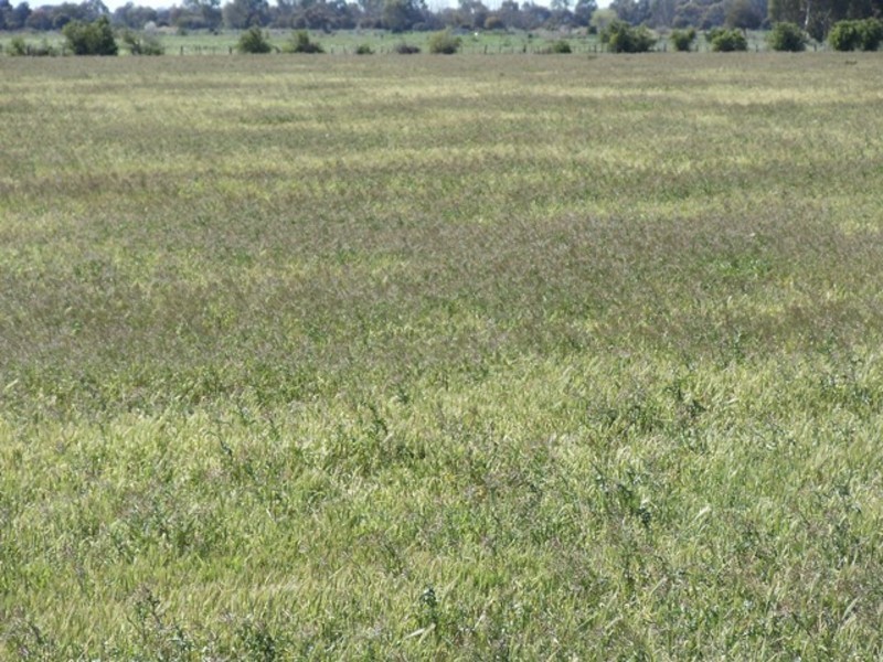 204 Creamery Road, Tyntynder VIC 3586