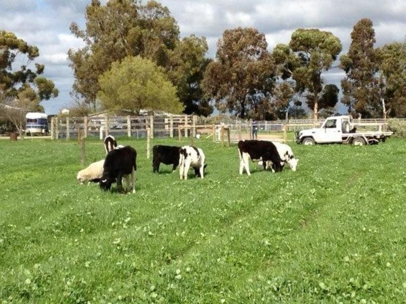 594 Tyntynder Rd Tyntynder, Swan Hill VIC 3585