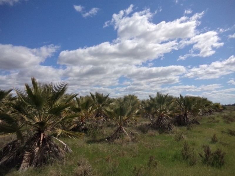 232 Bruce Road, Tresco VIC 3583