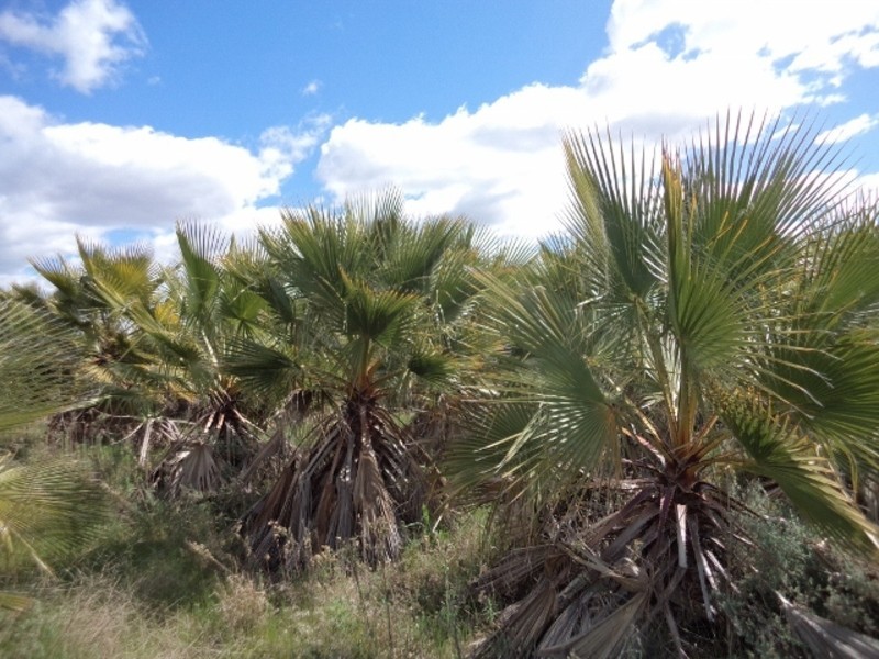 232 Bruce Road, Tresco VIC 3583