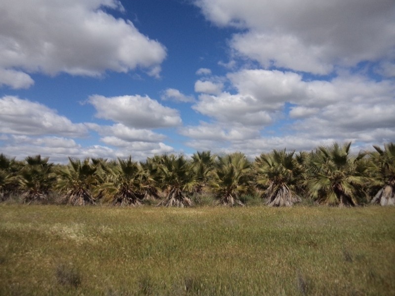 232 Bruce Road, Tresco VIC 3583