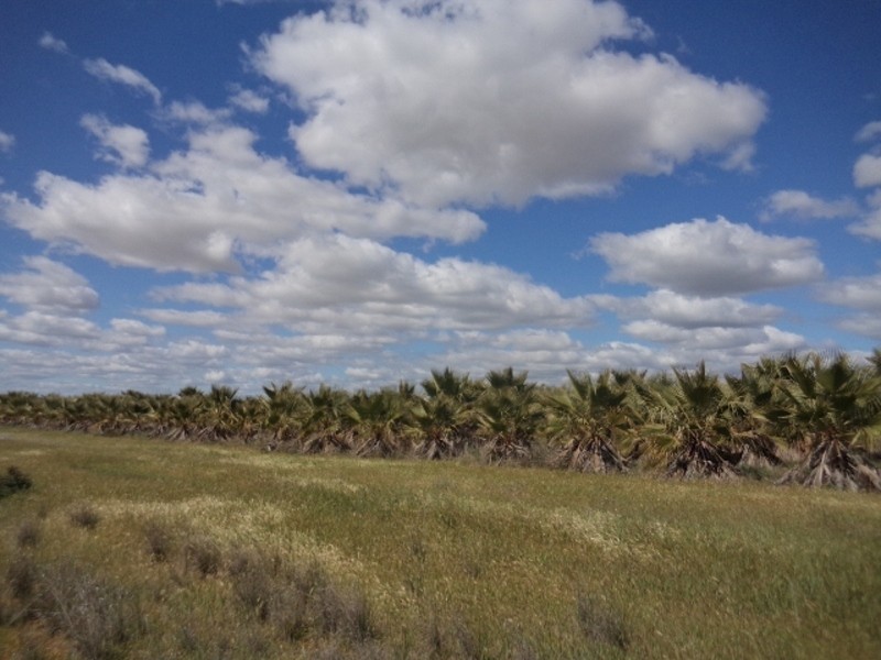 232 Bruce Road, Tresco VIC 3583