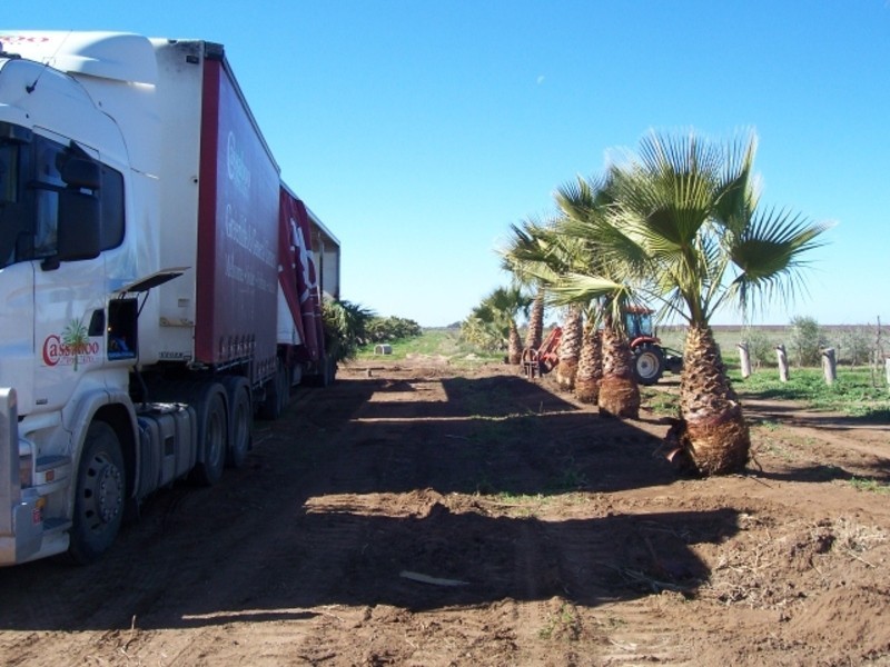 232 Bruce Road, Tresco VIC 3583