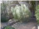 18 Pioneer Street, Manangatang VIC 3546