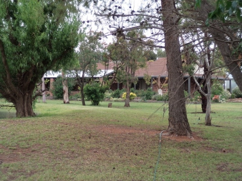 22 Woolstons Lane, Swan Hill VIC 3585