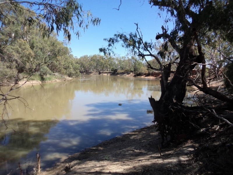 1035 Koraleigh Road, Koraleigh NSW 2735