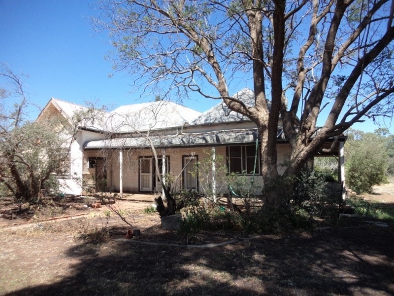 1035 Koraleigh Road, Koraleigh NSW 2735