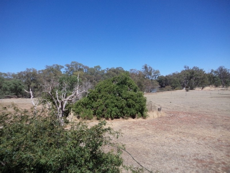 1035 Koraleigh Road, Koraleigh NSW 2735