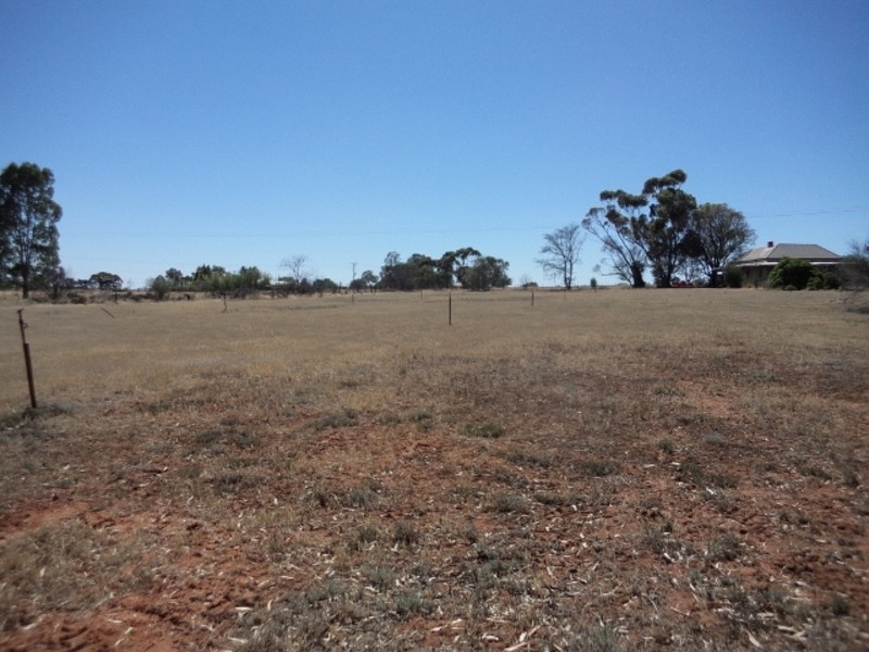 1035 Koraleigh Road, Koraleigh NSW 2735