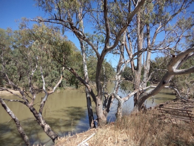 1035 Koraleigh Road, Koraleigh NSW 2735