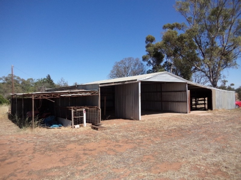 1035 Koraleigh Road, Koraleigh NSW 2735