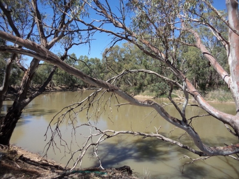 1035 Koraleigh Road, Koraleigh NSW 2735