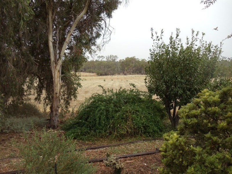 2500 Murray Valley Highway, Vinifera VIC 3591