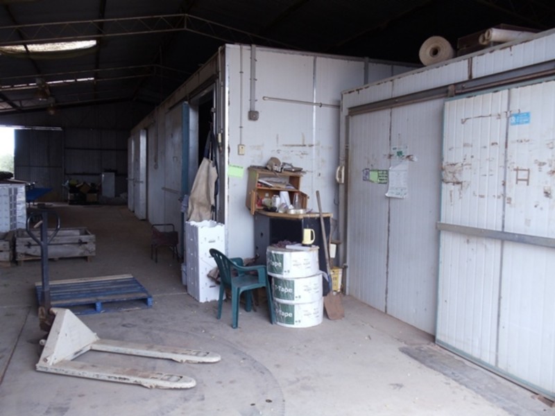 771 Lockhart Road, Goodnight NSW 2736