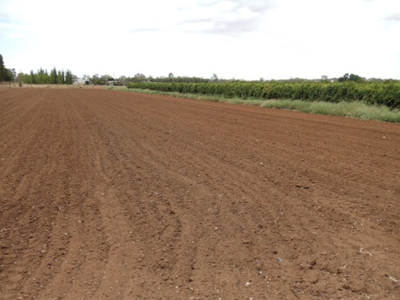 771 Lockhart Road, Goodnight NSW 2736