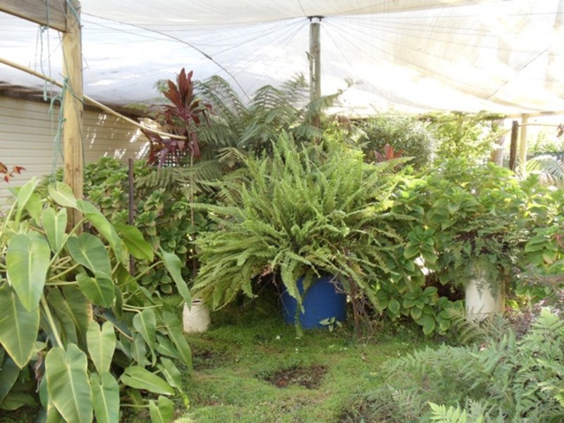 53-55 Cadell Street, Tooleybuc NSW 2736