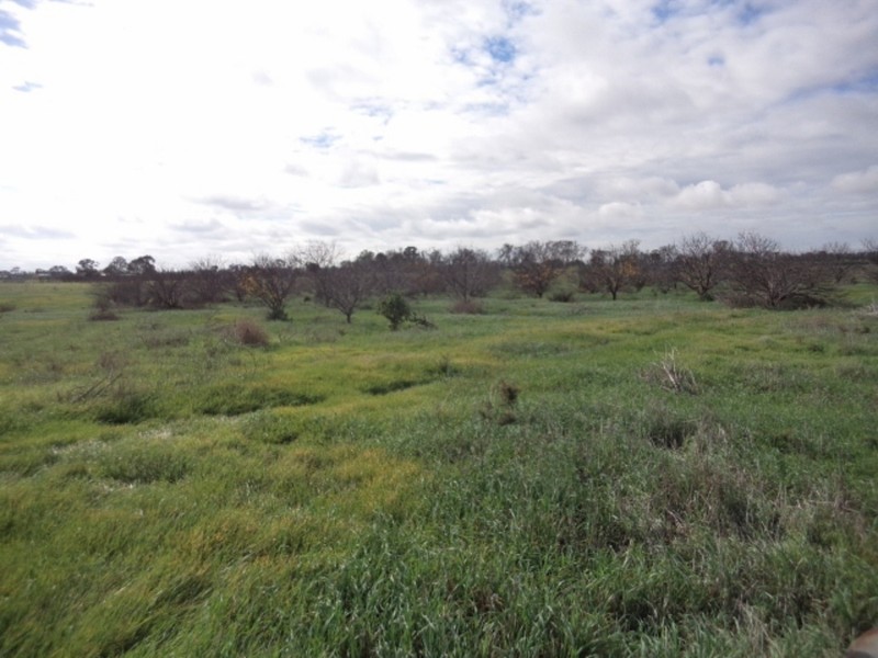 71  Eagles Lane, Koraleigh NSW 2735