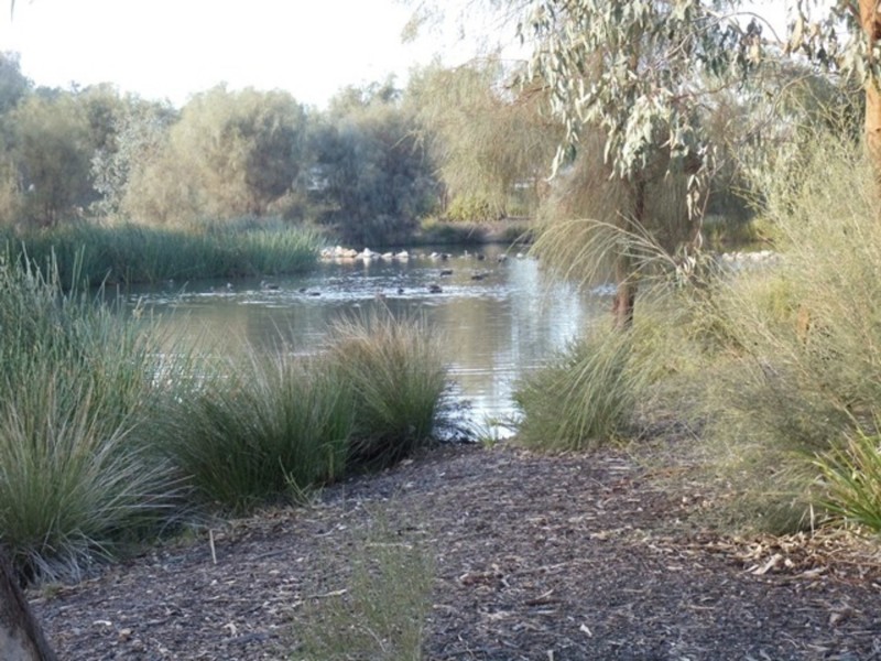 3/5 Palaroo Street, Swan Hill VIC 3585