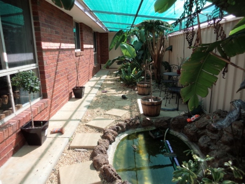 29 Dumosa Drive, Swan Hill VIC 3585