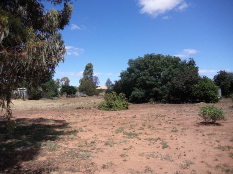 17 O’Connor Street, Nyah West VIC 3595