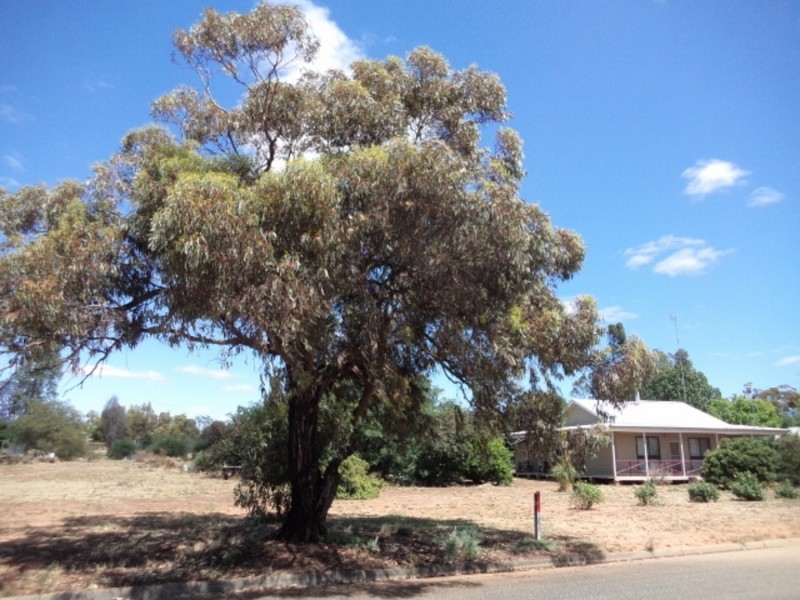 17 O’Connor Street, Nyah West VIC 3595