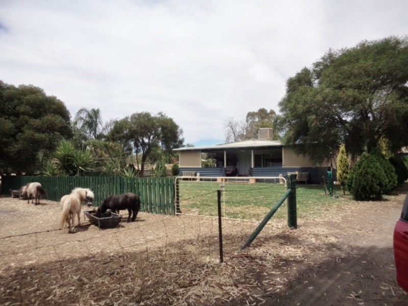 324 Pental Island Road, Swan Hill VIC 3585