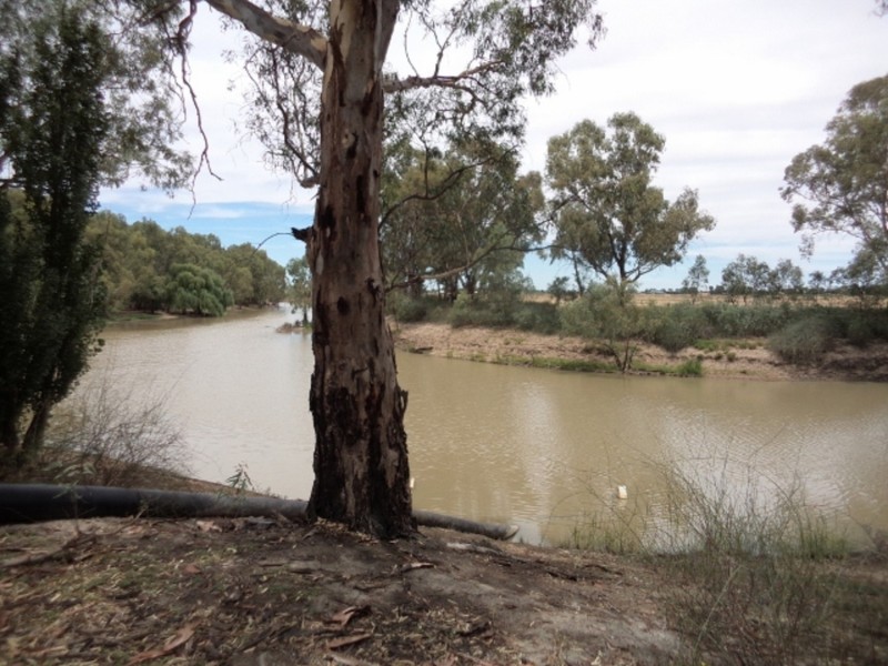 324 Pental Island Road, Swan Hill VIC 3585